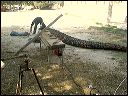 5-_~1