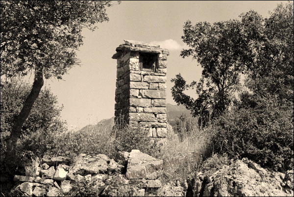 01.jpg