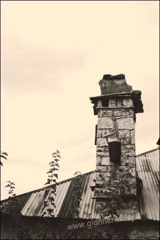 02.jpg
