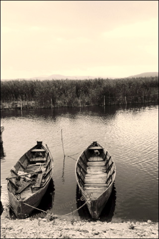 68.jpg