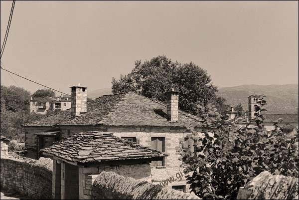 74.jpg