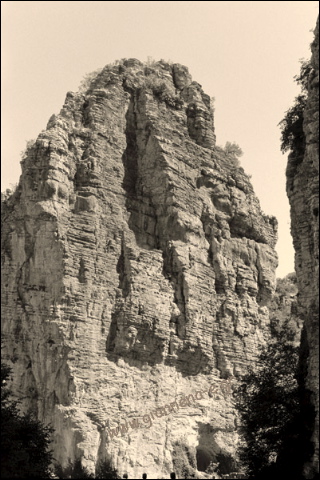 76.jpg