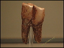 103e57~1