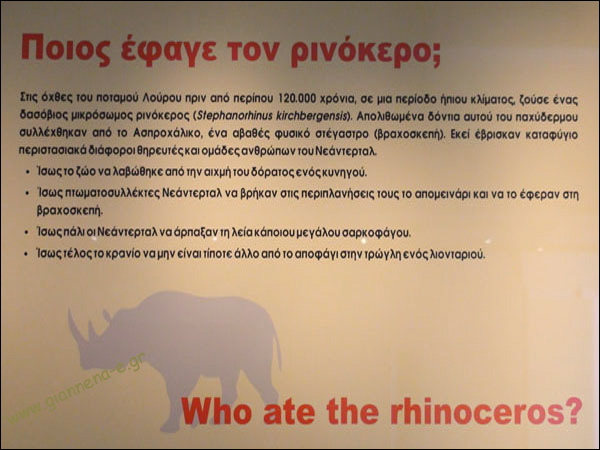 193ed1~1.jpg