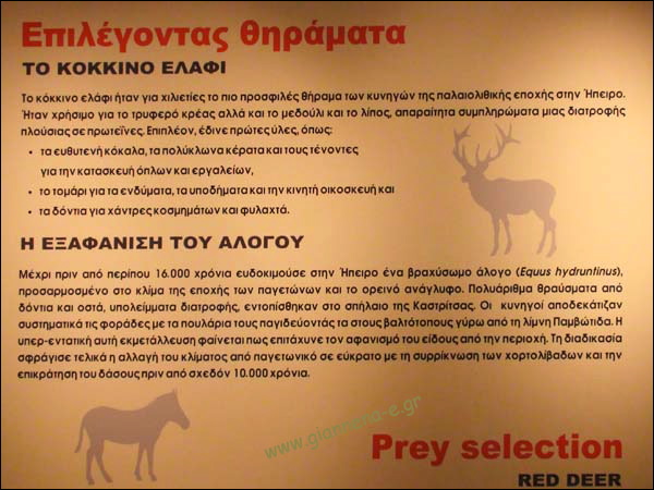 2169cd~1.jpg