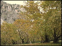 -01~1