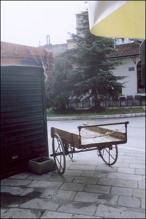 879df~1.jpg